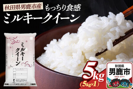 令和7年産 ミルキークイーン（精米）5kg（5kg×1袋）白米 こめ お米 秋田県 男鹿市 大進農場