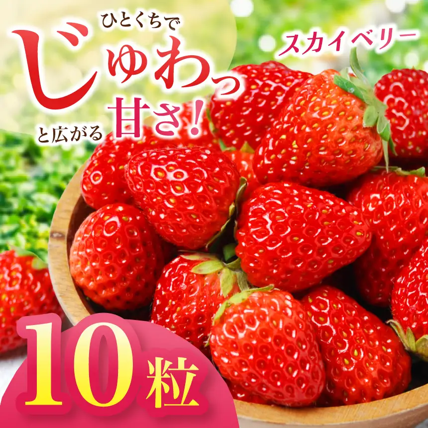 【2027年先行予約】スカイベリー　10粒 (CN)
