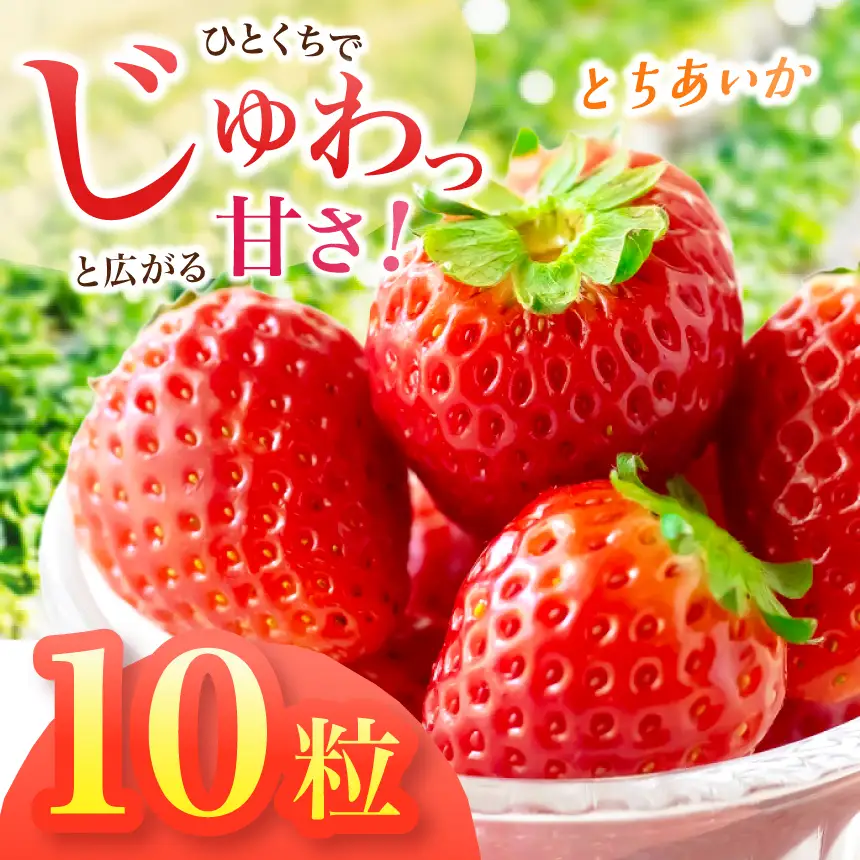 【2027年先行予約】とちあいか　10粒 (CN)