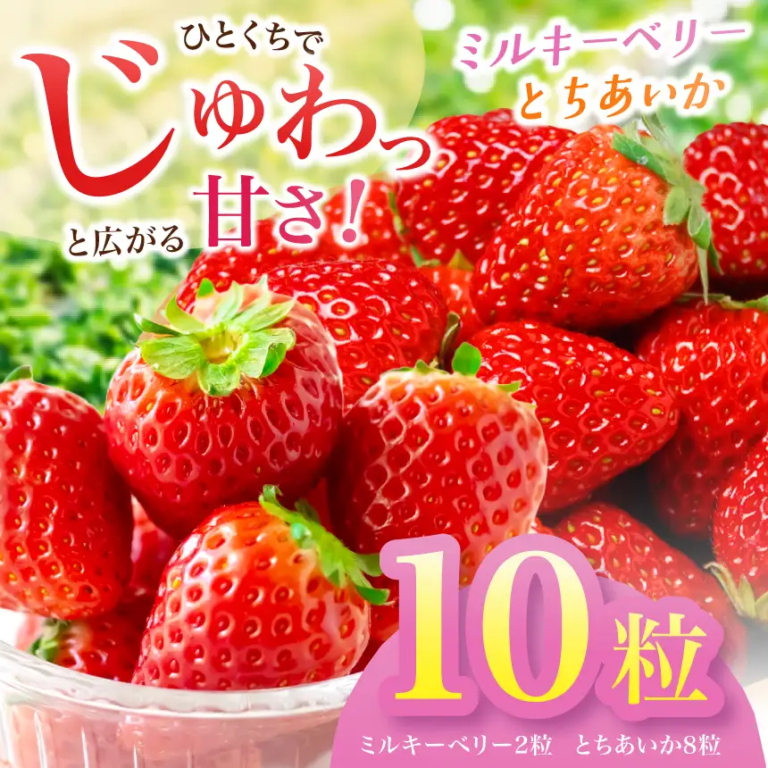 【2027年先行予約】とちあいか・ミルキーベリー　10粒(CN)