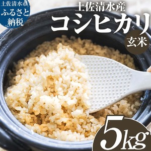 【令和８年産】新米　土佐清水産 コシヒカリ 玄米 5kg 5キロ お米 おこめ ごはん 飯 こしひかり ブランド米 おいしい 国産 高知県産【R01597】