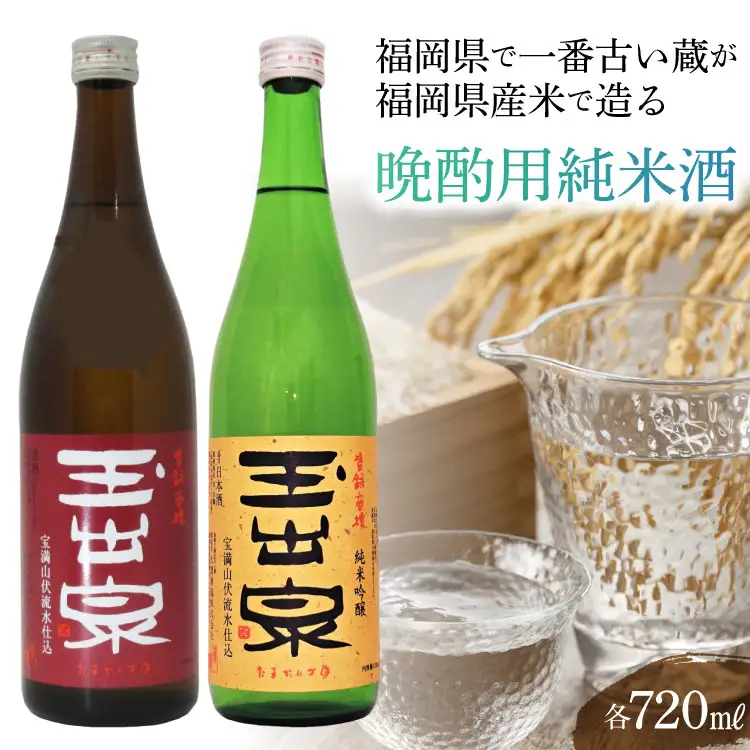 【福岡県で一番古い蔵】 「玉出泉」 純米セット [大賀酒造 福岡県 筑紫野市 21761171]