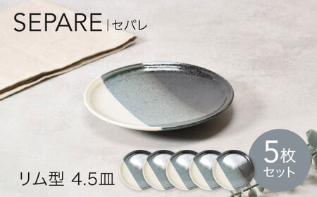 【美濃焼】セパレ リム型 4.5皿 5点セット【カネ定製陶】プレート 皿 モダン[MEI253]
