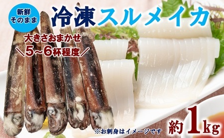 三陸水産 冷凍スルメイカ 約1kg （5～6杯程度） イカ 刺身 いかの塩辛 いかめし いかげそ イカ焼き フライ いかソーメン 新鮮 海産物 魚介 使いやすい 便利