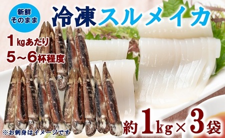 三陸水産 冷凍スルメイカ 約3kg （約1kg×3袋） イカ 刺身 いかの塩辛 いかめし いかげそ イカ焼き フライ いかソーメン 新鮮 海産物 魚介 使いやすい 便利