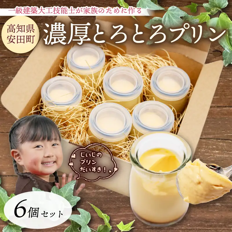 濃厚とろとろプリン 6個セット KD-0003