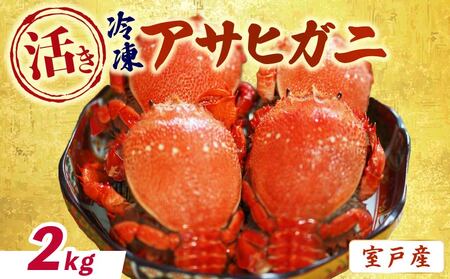 【 活冷凍 アサヒガニ 約2㎏ 】蟹 かに カニ がに ガニ 生 魚介類 海鮮