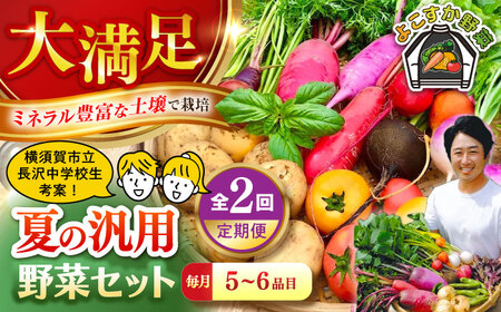 【先行予約】【全2回定期便】夏の汎用野菜セット（5〜6品目）夏（7月〜8月）【鈴也ファーム】[AKCE028]