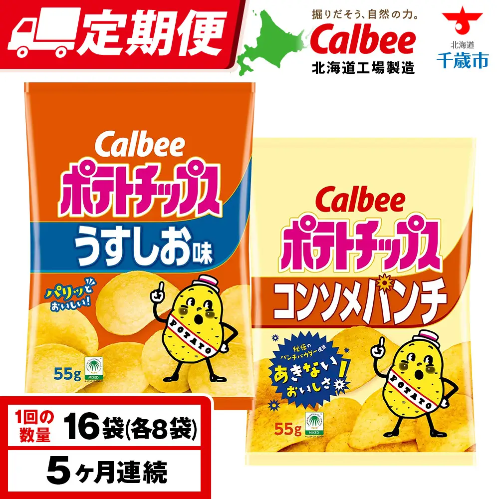 【定期便5カ月】カルビーポテトチップス 2種セット うすしお・コンソメパンチ 各8袋 《千歳工場製造》