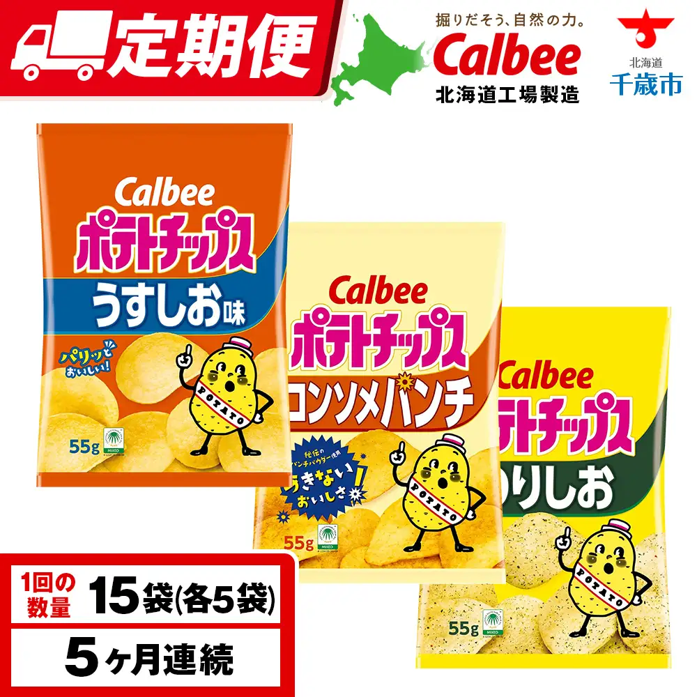 【定期便5カ月】カルビーポテトチップス 3種セット 合計15袋 《千歳工場製造》