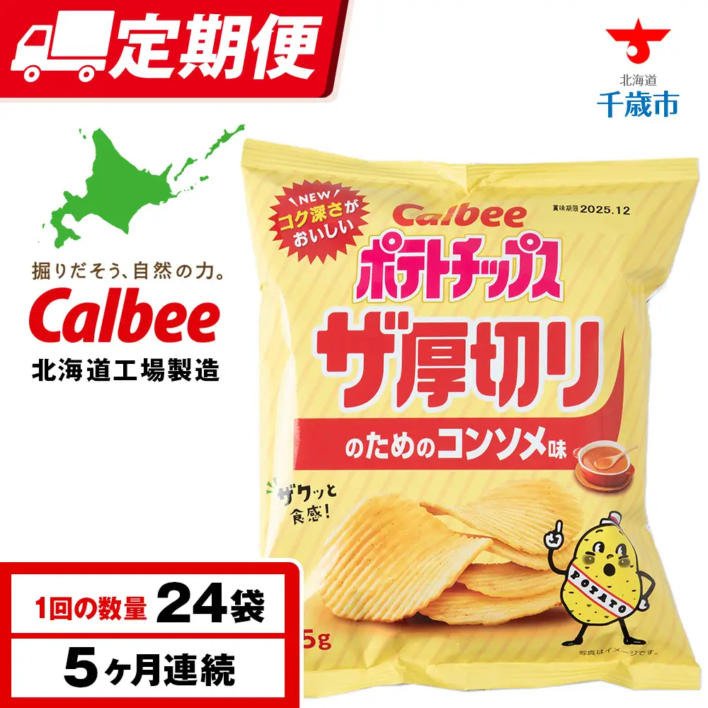 【定期便5カ月】ザ厚切りのための コンソメ味 24袋 2箱 カルビー ポテトチップス 《千歳工場製造》