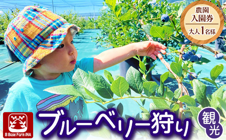 ブルーベリー狩り観光農園入園券（大人1名様）【007-93】