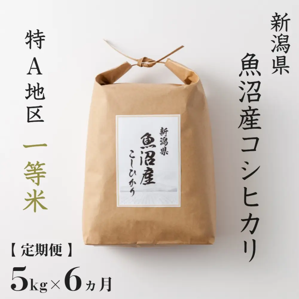【 定期便】 5kg × 6ヶ月 特A 一等米 魚沼産 コシヒカリ 令和7年産　新潟　新潟県　こしひかり　魚沼　特A地区　5キロ　頒布会