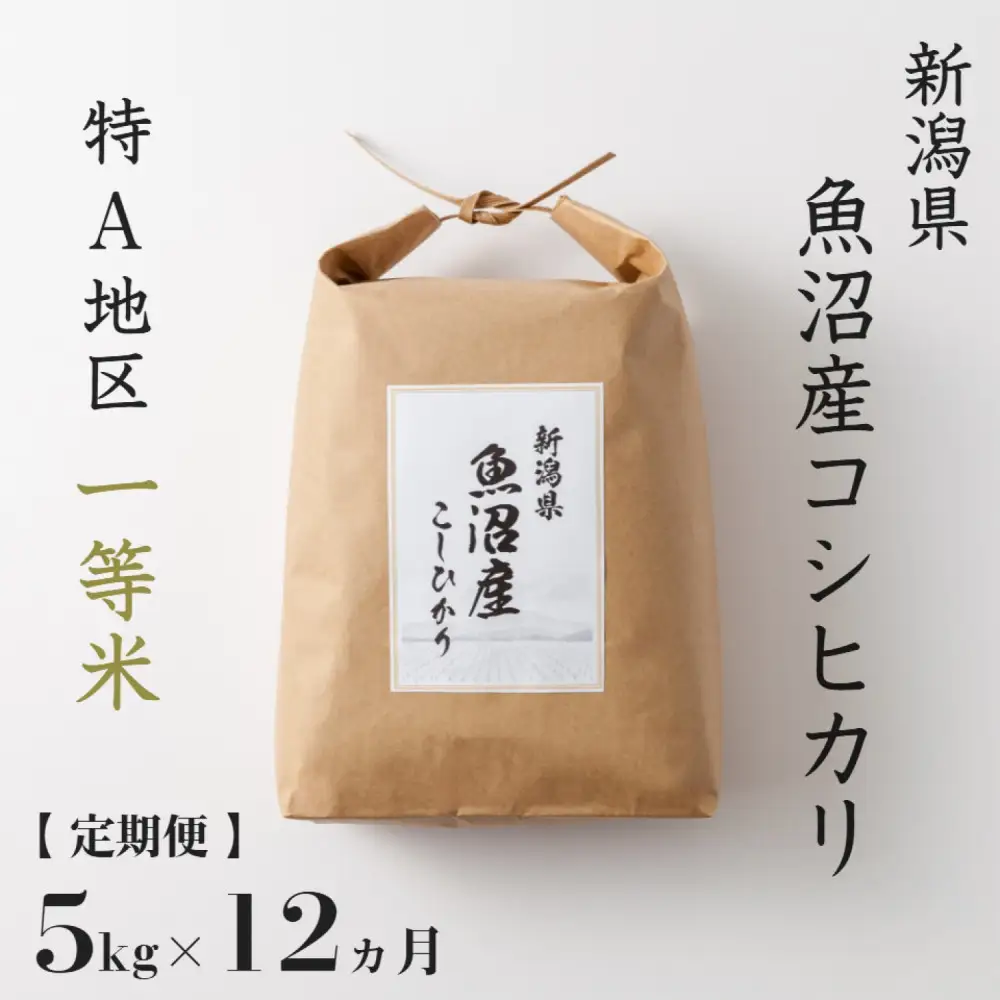 【定期便】5kg × 12ヶ月 特A 一等米 魚沼産 コシヒカリ 令和7年産　新潟　新潟県　こしひかり　魚沼　特A地区　5キロ　頒布会
