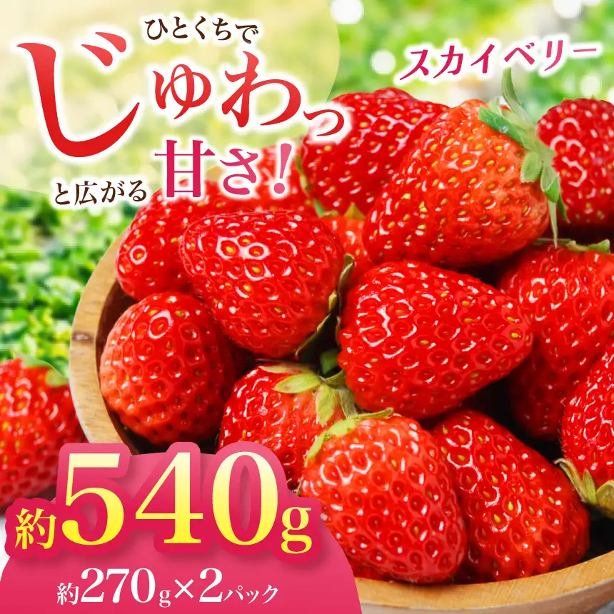 【2027年先行予約】スカイベリー　約540g (CN)