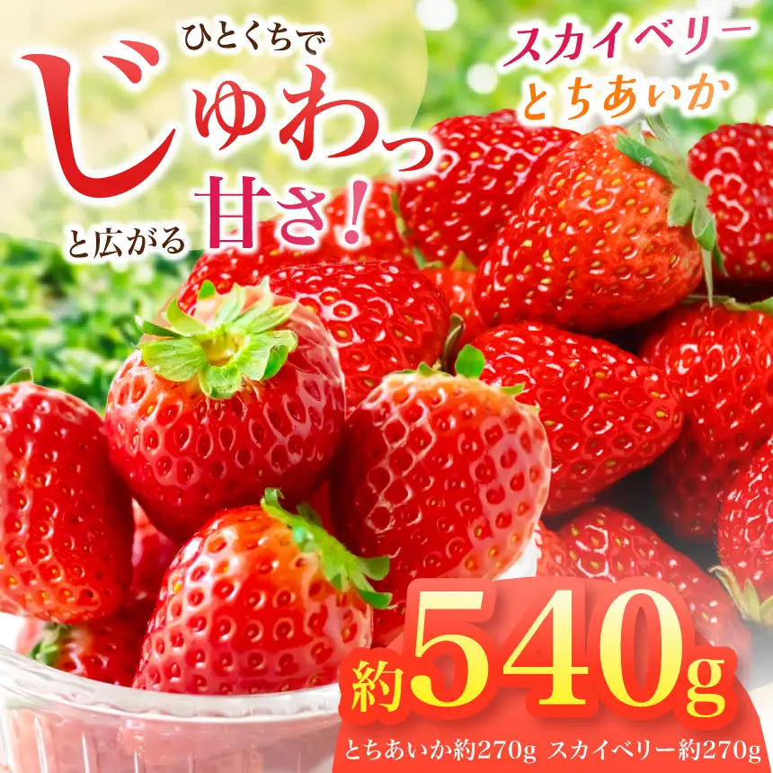 【2027年先行予約】とちあいか・スカイベリー　食べ比べ約540g　(CN)