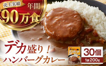 【カレー】ハンバーグカレーセット 30食入り[AGDT035]