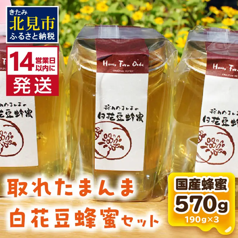 《14営業日以内に発送》採れたまんまの白花豆蜂蜜 190g×3本セット ( 蜂蜜 はちみつ ハチミツ 蜜 甘い 白花豆 蜂 純粋蜂蜜 贅沢 国産 酸味 おいしい おやつ 天然 自然 )【022-0017】