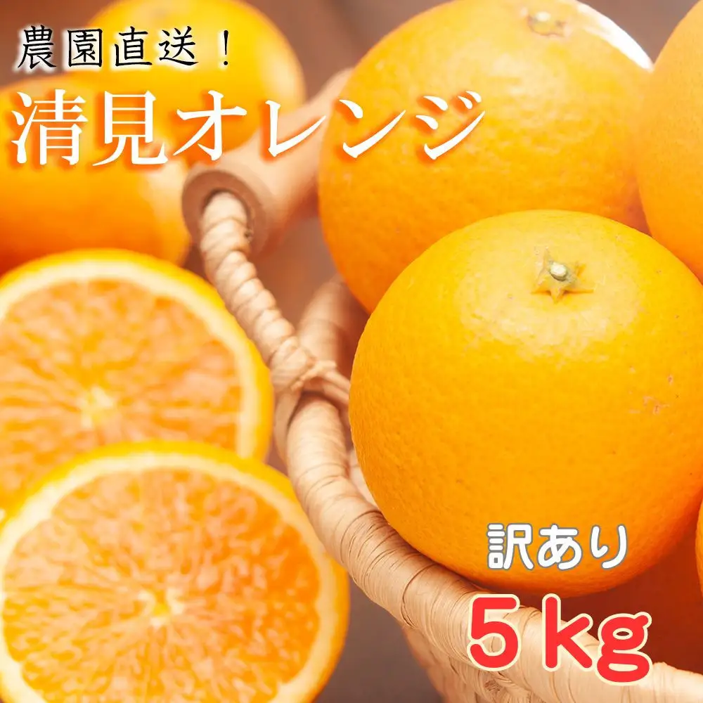 訳あり 清見オレンジ 混合 5kg ｜清見オレンジ