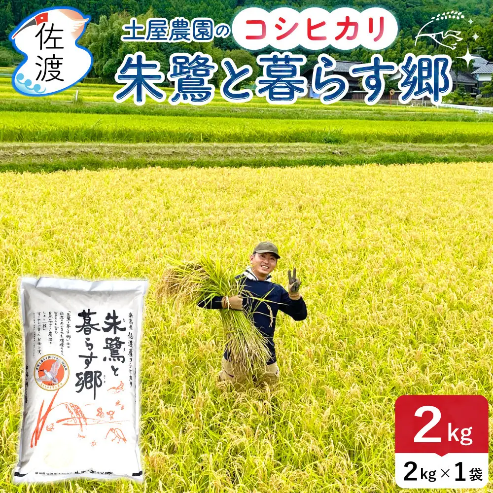 佐渡島産コシヒカリ「朱鷺と暮らす郷」白米2kg(2kg×1袋) 土屋農園 令和7年産 特別栽培米