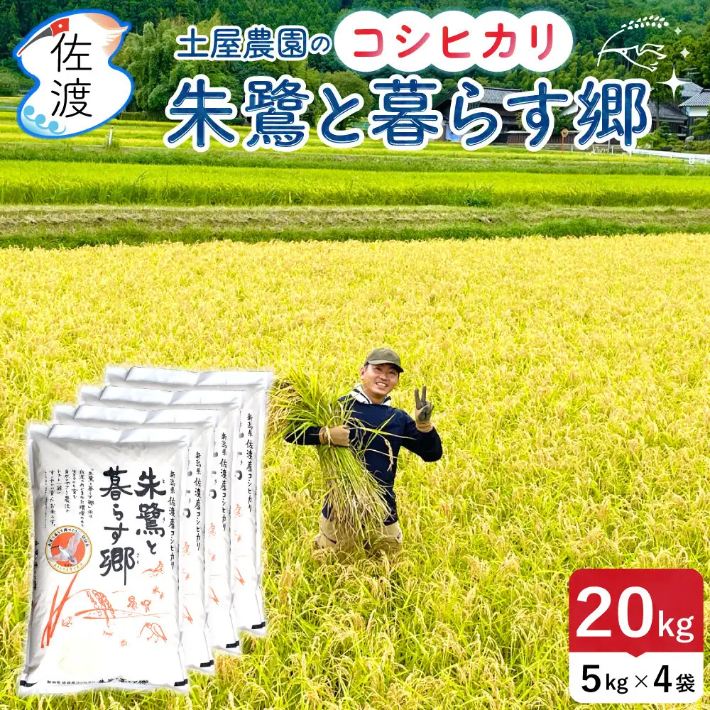 佐渡島産コシヒカリ「朱鷺と暮らす郷」無洗米20kg(5kg×4袋) 土屋農園 令和7年産 特別栽培米
