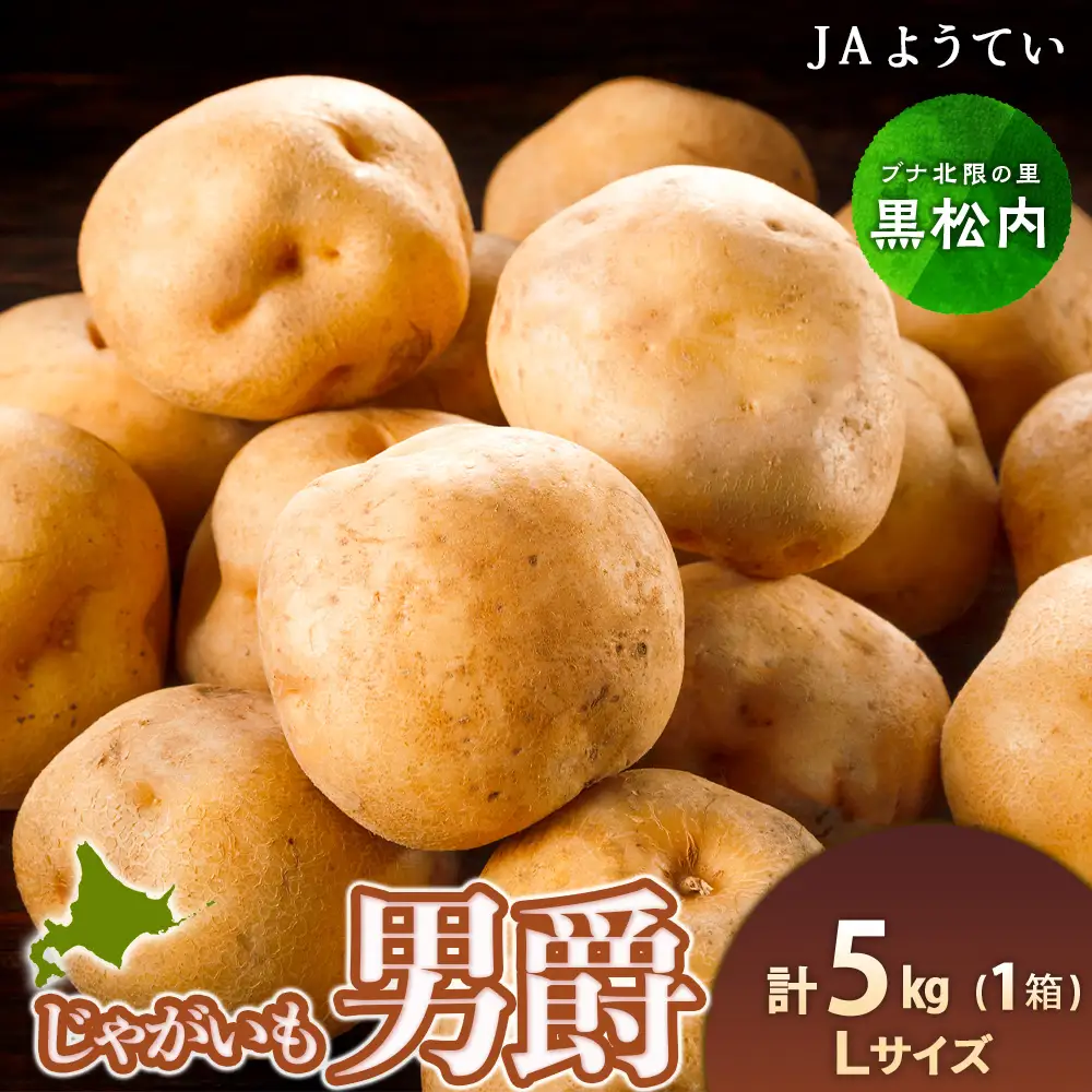 【2026年秋発送 先行予約】じゃがいも 馬鈴薯（男爵）Ｌサイズ　5kｇ＜JAようてい＞