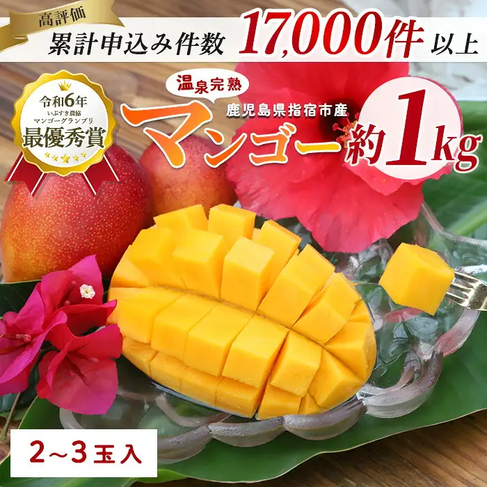 2026年発送 訳あり 鹿児島県 指宿 産 温泉 完熟 マンゴー 約1kg T&P IB057-001 マンゴー マンゴー