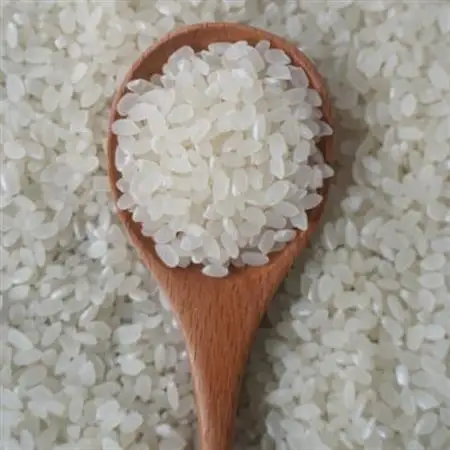有機こしひかり白米450g×12袋(令和7年産)【1709187】