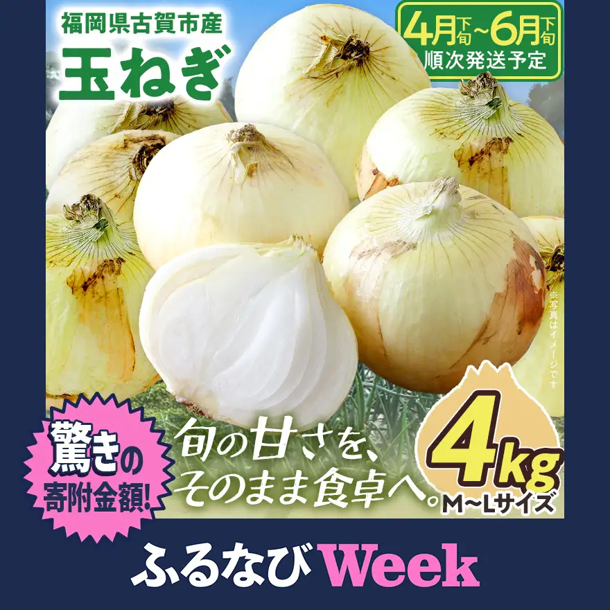 【ふるなびWEEK対象】玉ねぎ 4kg  【4月下旬～6月下旬頃に順次発送予定】 国産玉ねぎ