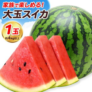 【先行予約】大玉すいか 1玉 約4kg 株式会社エフビーネット《5月上旬-7月中旬頃出荷》熊本県 菊池市 すいか スイカ 大玉 熊本県産 フルーツ