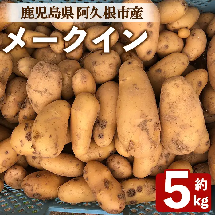 ＜先行予約受付中！2026年6月以降順次発送予定＞じゃがいも メークイン(5kg) 国産 鹿児島県産 阿久根市産 じゃがいも ジャガイモ 芋 ポテト 野菜 期間限定 数量限定 スープ カレー シチュー 常温 常温配送 【慶越農園】akn107-05