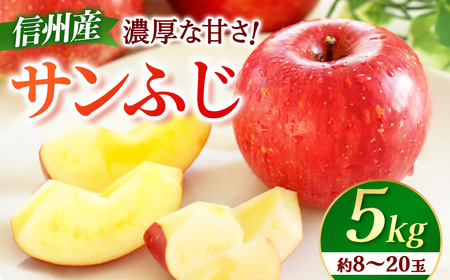 【先行予約】りんご　サンふじ　約5kg　＜2026年11月下旬～12月中旬発送予定＞　リンゴ｜長野県産｜果物｜くだもの