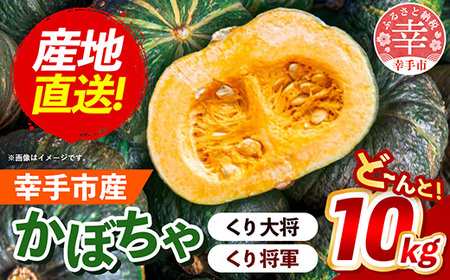 【きあり農園】2026年度 幸手市産 かぼちゃ 約10kg - カボチャ 南瓜 くり大将 くり将軍 産地直送