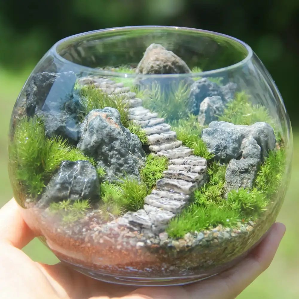 《苔テラリウム・コケリウム》階段の風景 ボウルLL