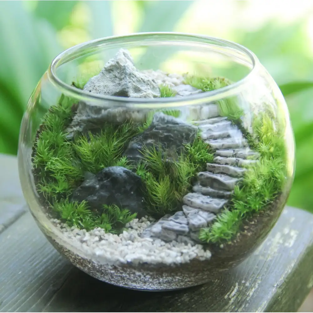 《苔テラリウム・コケリウム》階段の風景 ボウルL