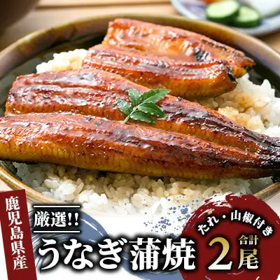 鹿児島産厳選うなぎ蒲焼セット 2尾 指宿屋 IB023-003 うなぎ うなぎ 