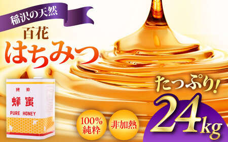 百花はちみつ（一斗缶24kg） / はちみつ 国産 非加熱 純粋 蜂蜜 天然 ハチミツ / 稲沢市 / 椿園株式会社[BMBI006]