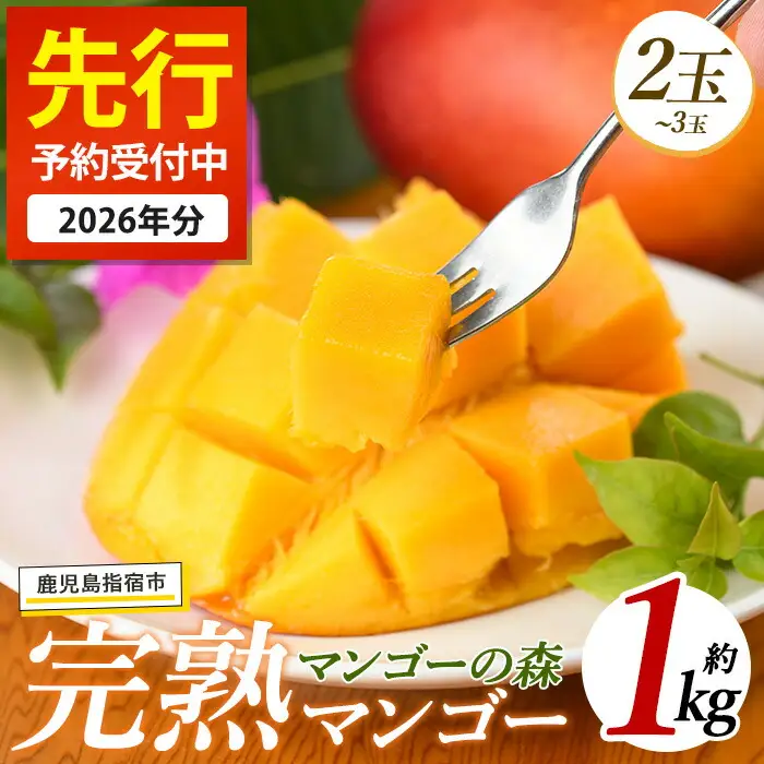 【2026年発送】しあわせ 完熟 マンゴー 2～3玉入 マンゴーの森 IB040-001 マンゴー フルーツ 果物