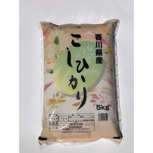 令和7年度　香川県産コシヒカリ5kg