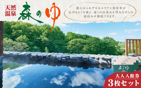 天然温泉 森のゆ 大人 入館券（入浴券×3枚セット）北海道北広島市 アルカリ性単純温泉 温泉チケット 利用券