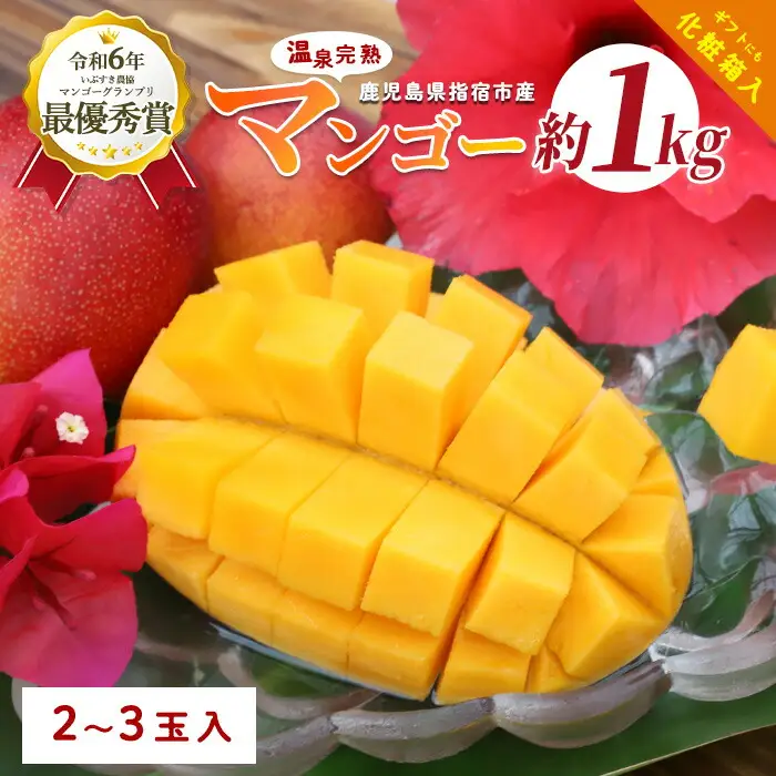 【2026年発送 先行予約】鹿児島県 指宿 産 温泉 完熟 マンゴー 約1kg T&P IB057-003 マンゴー フルーツ 果物
