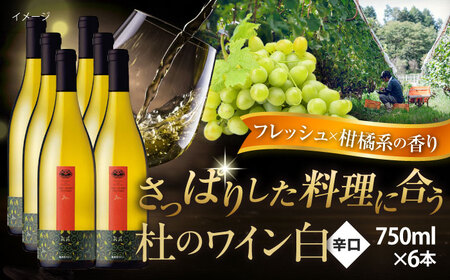杜のワイン白 6本セット 辛口 お酒[AICS093]