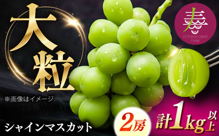 【8月中旬より順次発送】【50個限定】【贈答用】シャインマスカット2房 [AIEM002]