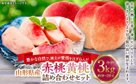 豊かな自然で、園主が愛情を注ぎ込んだ桃（赤桃・黄桃） 詰め合わせ 約3kg （9玉～20玉） ご家庭用 果物 くだもの 夏果実 フルーツ 産地直送 【2026年8月順次発送予定】