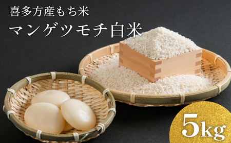 マンゲツモチ白米（もち米）5kg　【07208-0801】