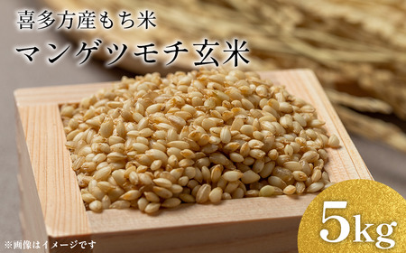 マンゲツモチ玄米（もち米）5kg　【07208-0803】
