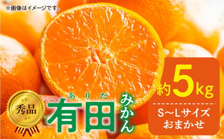DZ6013n_11_【2026年11月発送】秀品 有田みかん 和歌山県産 S～Lサイズ 大きさお任せ 約5kg