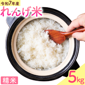 熊本県菊池市産のれんげ米 5kg 《30日以内に出荷予定(土日祝除く)》  精米方法 精米 お米 白米 レンゲ米 熊本県産 九州産 送料無料