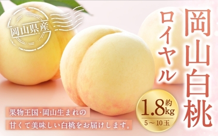 岡山白桃 ロイヤル 5～10玉 約1.8kg 岡山県産 白桃 桃 もも モモ くだもの 果物 果実 フルーツ 国産 ギフト 贈り物 【 2026年7月上旬～8月下旬発送予定 】