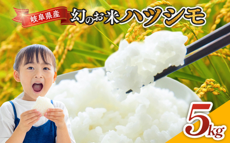令和7年産 岐阜県産 ハツシモ 5kg  | 米 お米 コメ こめ  ハツシモ はつしも ごはん ご飯 おにぎり お弁当 白米 精米  ブランド米 幻の米 国産 岐阜県 瑞穂市